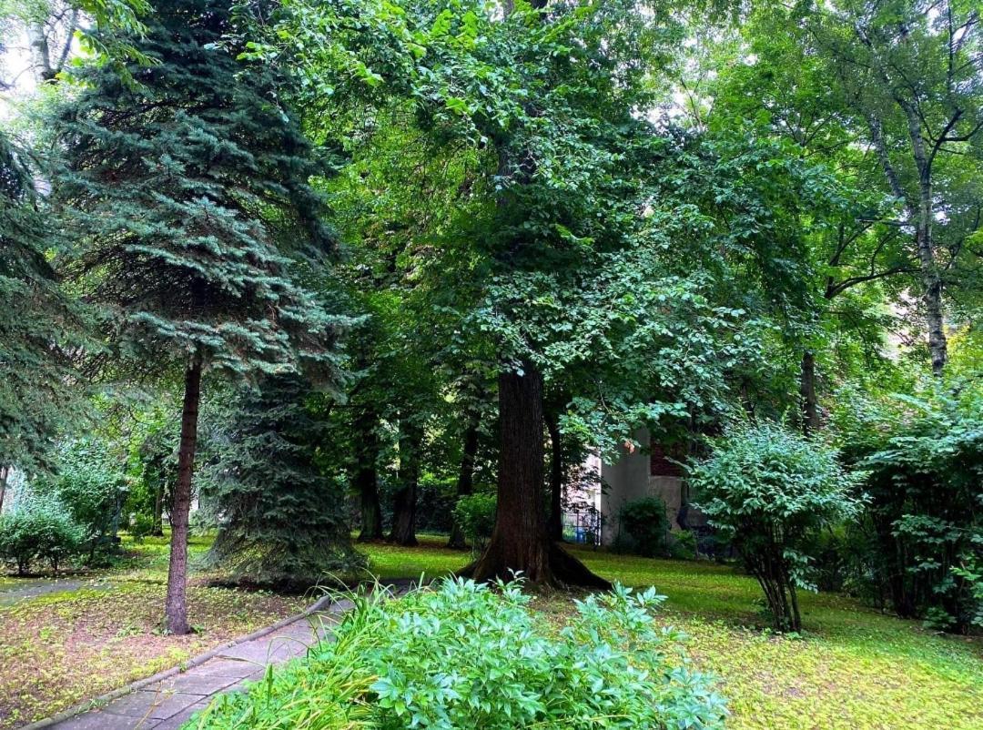 Apartament With Garden In Old Town *